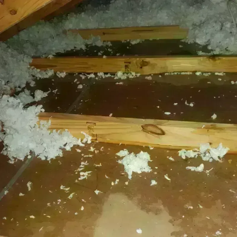 Attic Water Damage in Putnam County, OH