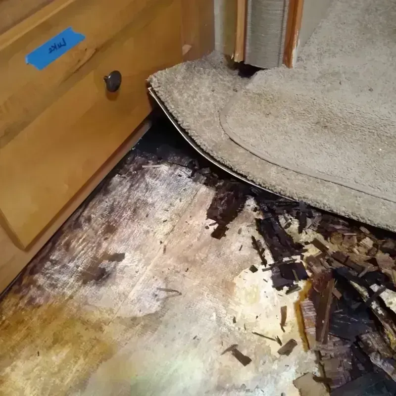 Wood Floor Water Damage in Putnam County, OH